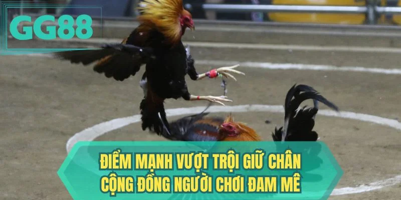 Điểm mạnh vượt trội giữ chân cộng đồng người chơi đam mê