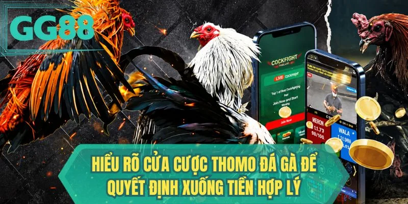 Hiểu rõ cửa cược thomo đá gà để quyết định xuống tiền hợp lý