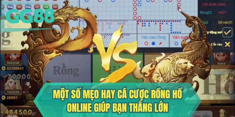Một số mẹo hay cá cược Rồng Hổ online giúp bạn thắng lớn
