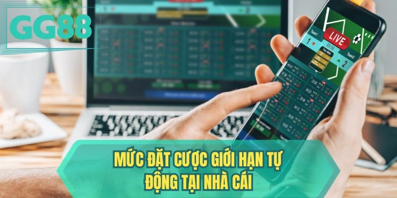 Mức đặt cược giới hạn tự động tại nhà cái