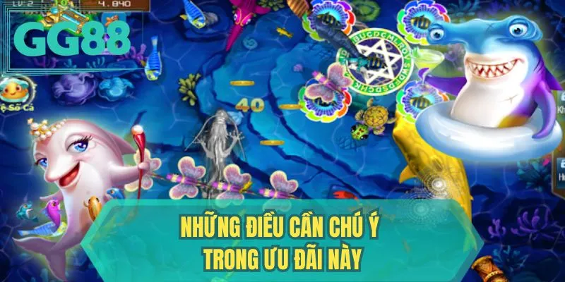 Những điều cần chú ý trong ưu đãi này