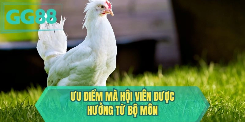Ưu điểm mà hội viên được hưởng từ bộ môn